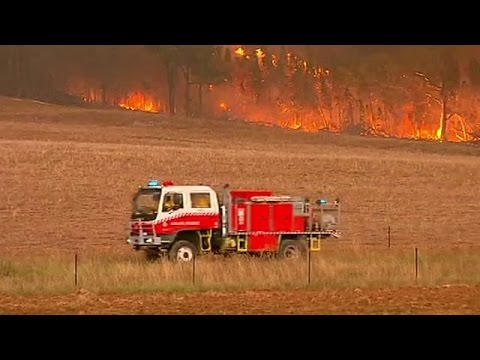 Avustralya'da 80 ayrı noktada orman yangını