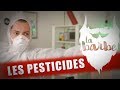 Les pesticides  la barbe