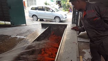 Máy cạo vỏ cà rốt, máy cạo vỏ khoai, máy cạo vỏ gừng