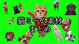 【猫ミーム素材】好きな猫ミームまとめ#memes#meme#ネコ#レア#素材#green#cat#screen