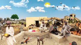 People living in the desert | village life in cholistan | desert last village of pakistan #camel