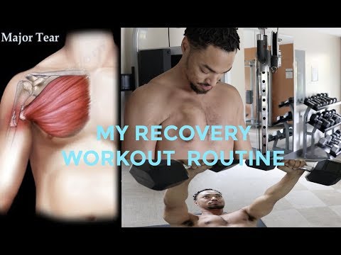 My Workout Routine! | Torn Pec Recovery