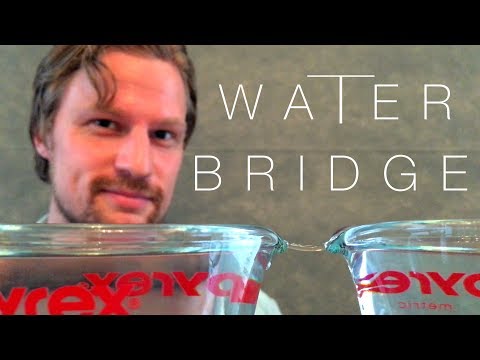 How To Defy Gravity With Water | THE WATER BRIDGE EXPERIMENT|