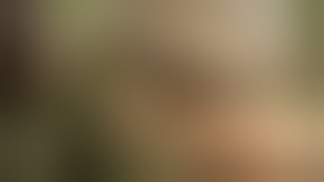 Python eats Rabbit 02 - Time Lapse