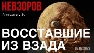 Невзоров смотрит Барби. Живодер Запашный убил  Мариупольского тигренка. Дума. Нюрнберг. Фронтовое.