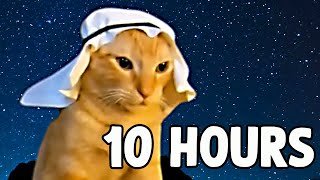 Arab Cat Meme 10 HOURS