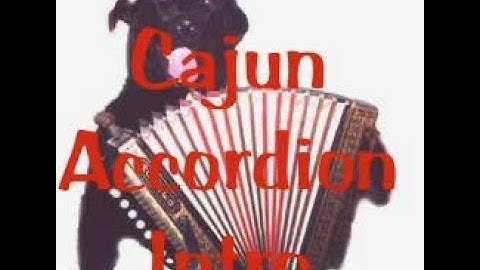 Cajun Accordion Introduction