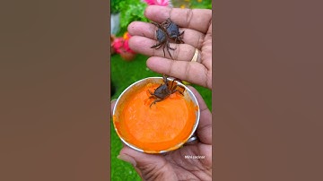Tiny Crab 🦀 Recipe 😋  #shorts #shortsvideo #youtubeshorts #minicocinar