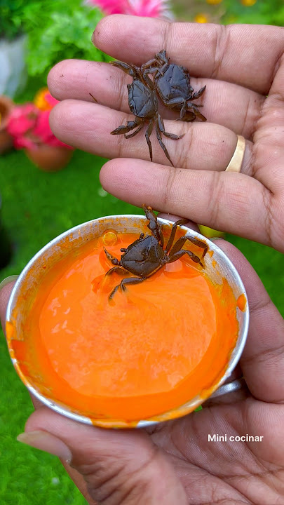 Tiny Crab 🦀 Recipe 😋  #shorts #shortsvideo #youtubeshorts #minicocinar