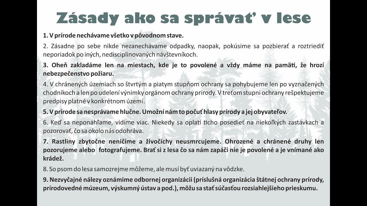 Ako sa spravat v lese