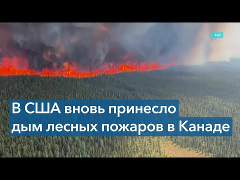 Пожары в Канаде: леса горят на площади в 80 тысяч кв км