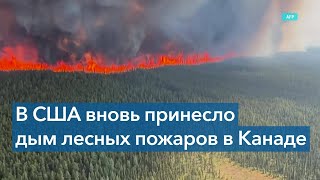 Пожары в Канаде: леса горят на площади в 80 тысяч кв км