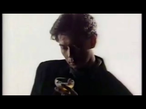 蔡楓華-1988年MV 不必造作（鄭艷麗出演）