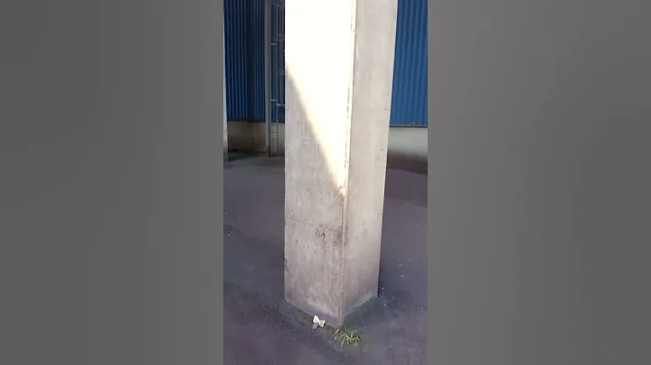 Concrete Frame Repair Col 5