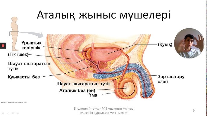 Жасөспірімдерге арналған онлайн порно