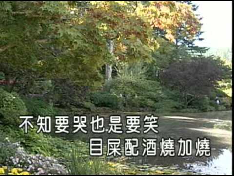 淚酒 詹雅雯