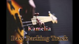 Kamelia Bass Backing Track (SweetCharity) Without Bass For Bassist !!!