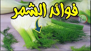 ماذا لو تناولت الشمر / ضعف العظام والمفاصل امساك حموضة سمنة كوليسترول وامراض قلب لن تحدث ابدا