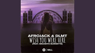 Video thumbnail of "Afrojack - Wish You Were Here (feat. Brandyn Burnette)"