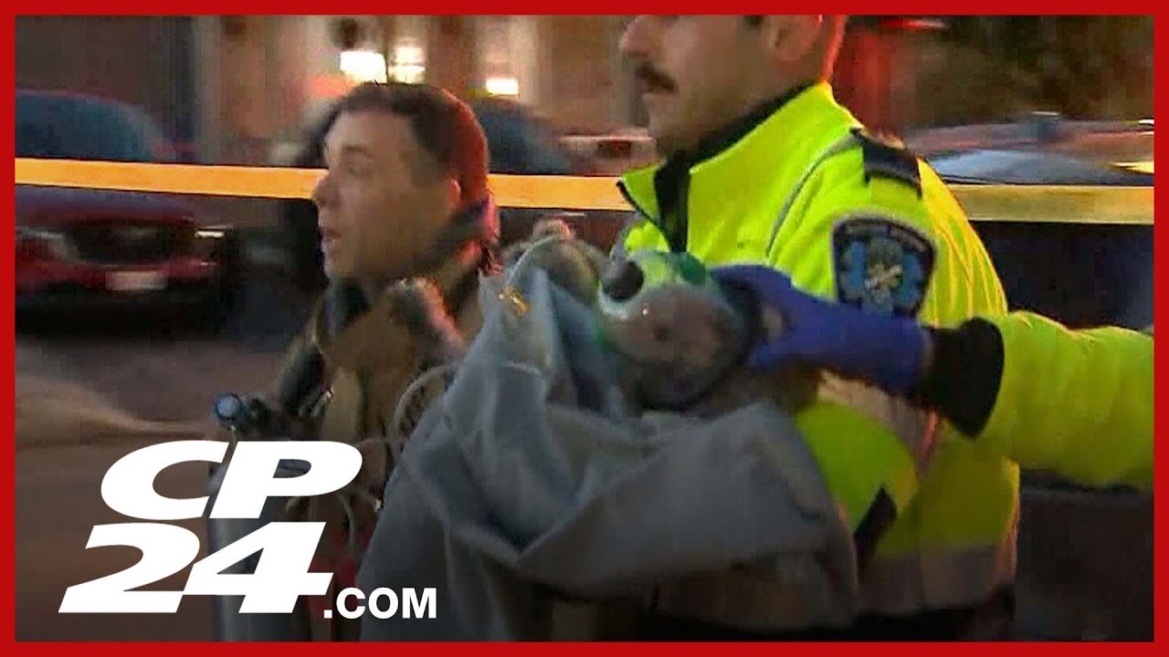 Dog rescued from house fire and given oxygen mask in Burlington ...