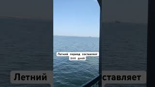 Чудо природы. Волга река, Казань #волга #зима #лето