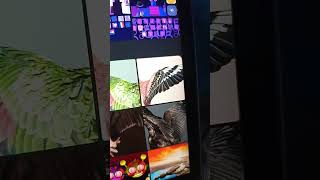 У меня появились обои от Google Pixel Tablet