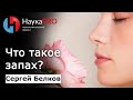 Что такое запах и обоняние? | Лекции по химии – химик-флейворист Сергей Белков | Научпоп