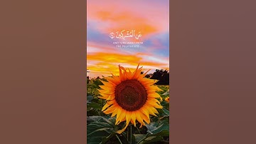 فاصدع بما تؤمر وأعرض عن المشركين / القارئ #هزاع_البلوشي #قرآن