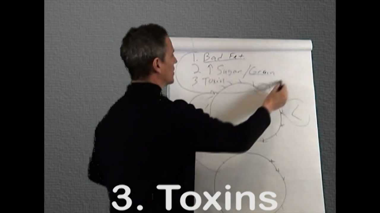 What is Leptin Resistance Part 1 and 2 On How To Lose Weight exercise for weight loss at home for female
