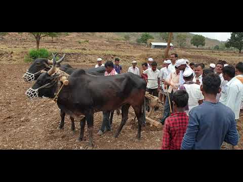 Interaction among farmers about different sowing method