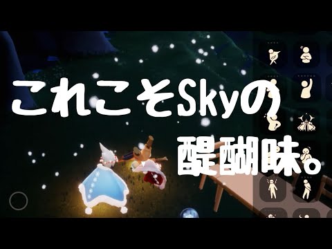 雨林で楽器の練習をしていたら偶然、〇〇○と出会った【Sky星を紡ぐこどもたち】