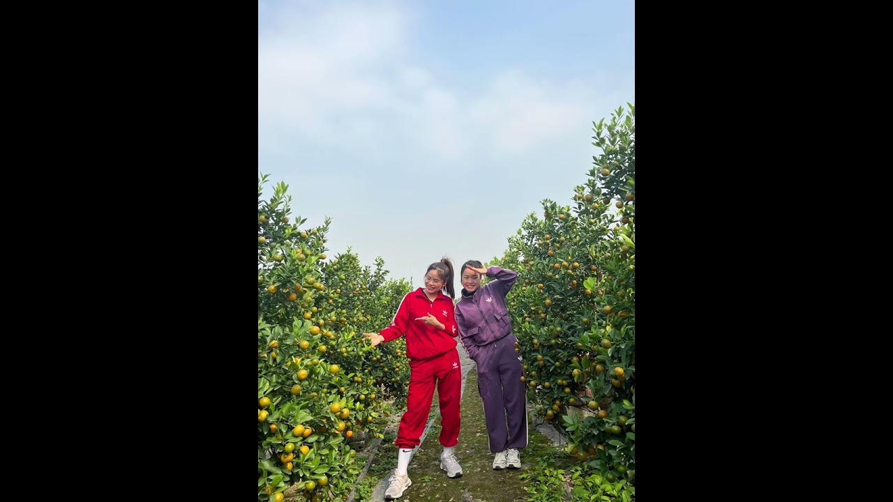 ĐÓN XUÂN & XUÂN PHÁT TÀI