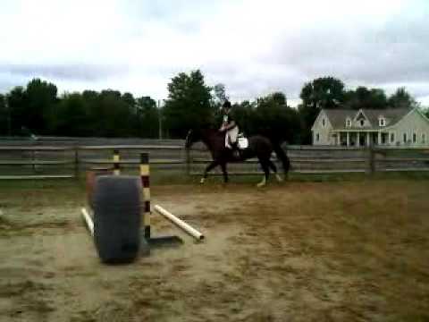 Laurie Egan riding Max