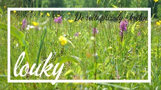 LOUKY | do světa přírody