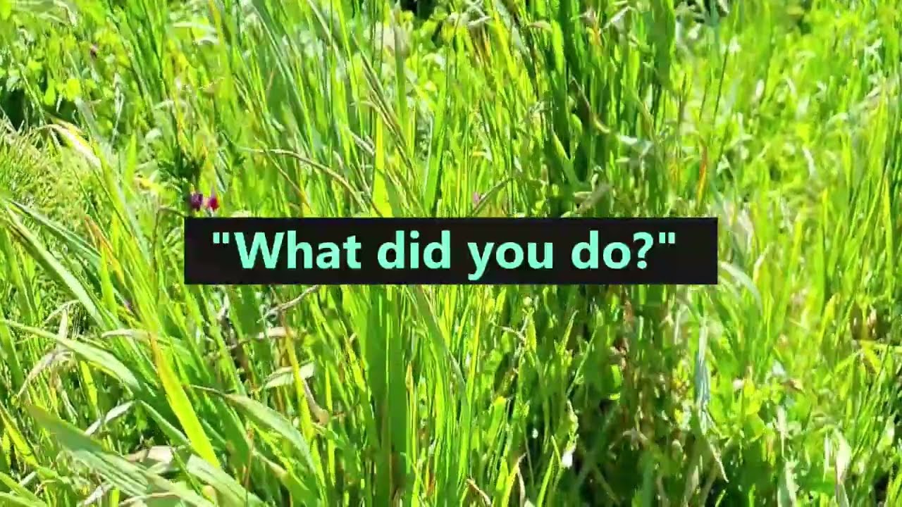 Stephen Crane's Poem About Heaven