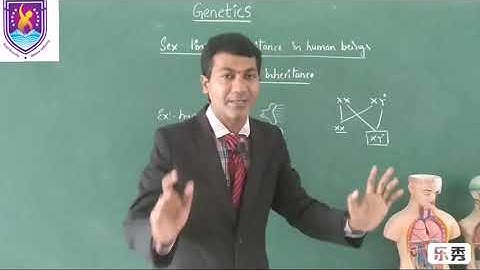 Y -linked inhritance  || Genetics NCERT XII Class || By Nagavelli Prasad