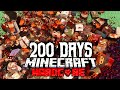 200 days  zombie wasteland