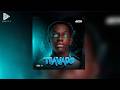 Vedapilha Beat - Travado (Original Mix) [Official Audio]