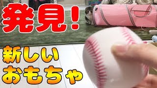 色んなおもちゃで遊ぶぽこ太郎