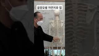 선골과 음양오행 자연치유 비법공개