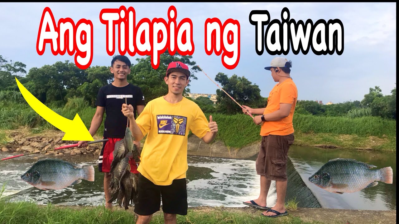 Ang Tilapia sa TAIWAN;, YouTube