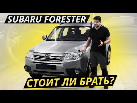 Subaru Forester. Все "ЗА" и "ПРОТИВ" | Подержанные автомобили