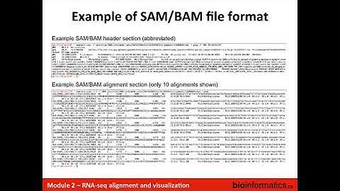 RNA-seq Alignment and Visualization