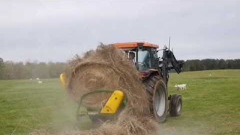 Hustler Chainless 2000 Round and Square bale feeder, feeding hay to goats
