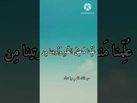 الشيخ شكرى البرعى نوادر رحمه الله