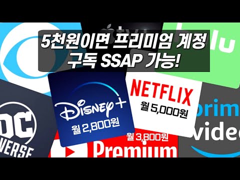   VPN 우회하지 마세요 넷플릭스 디즈니플러스 유튜브 프리미엄 등 구독료가 단돈 5000원 저렴하고 안전한 계정 공유 With 겜스고 GamsGO