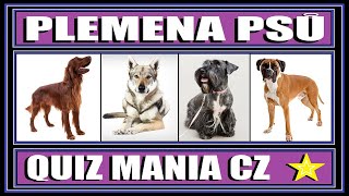 PLEMENA PSŮ # 1 | KVÍZ