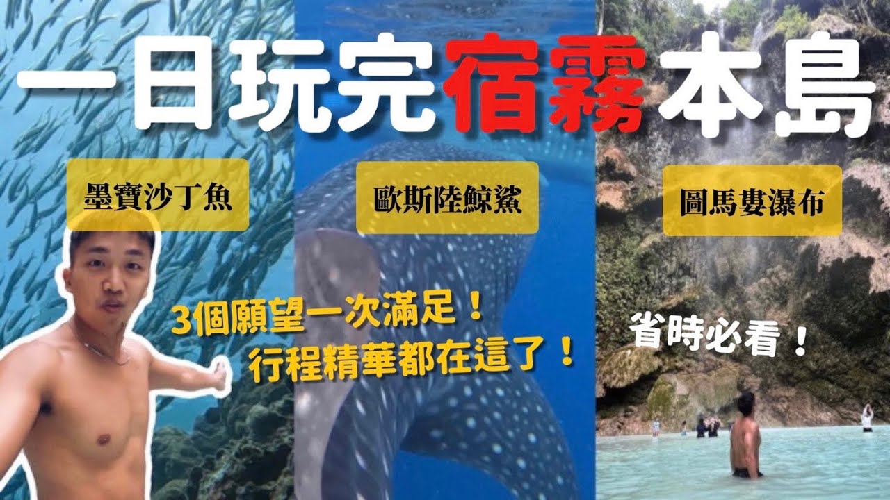 【🇵🇭宿霧EP1】省時攻略！挑戰一日瘋玩宿霧本島！歐斯陸鯨鯊共游 墨寶沙丁魚 圖馬婁瀑布 必踩行程一次搞定 精華都在這啦～｜MK快樂鳥日子