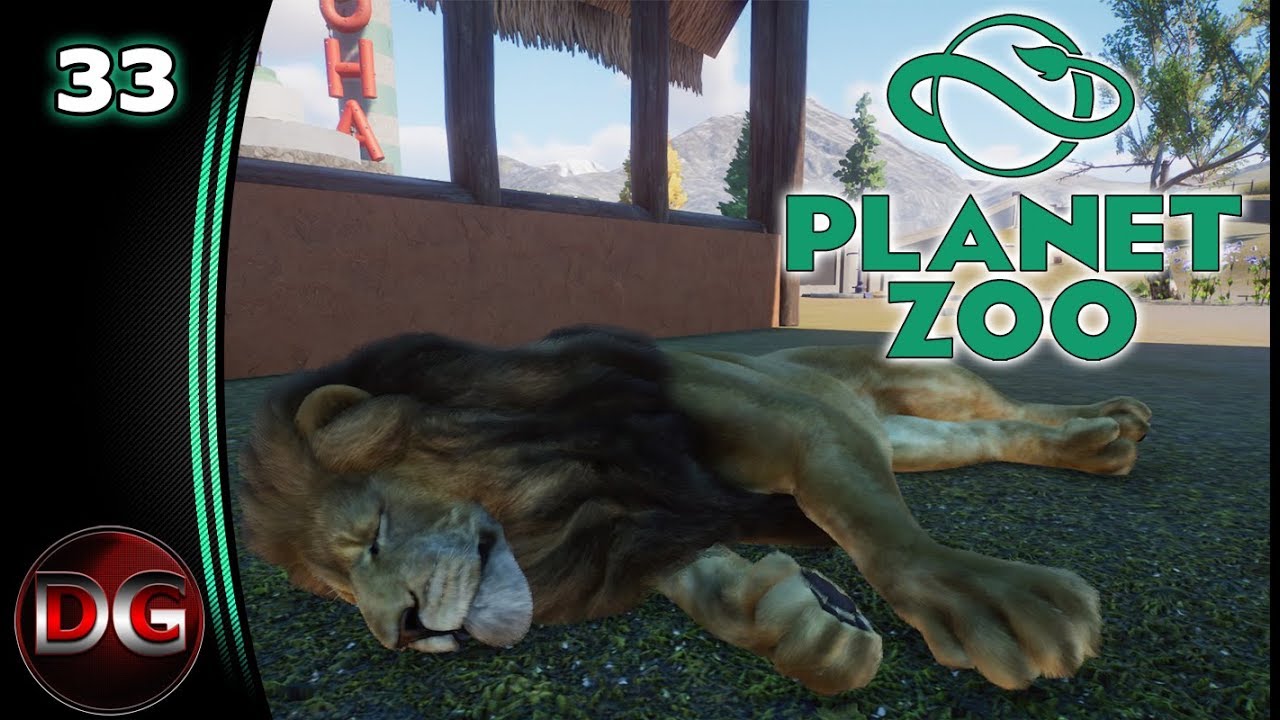 Zoo Let's Play! Content creatures Ep 33 YouTube
