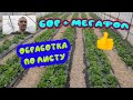 Обработка по листу бором. Были трудности!!!